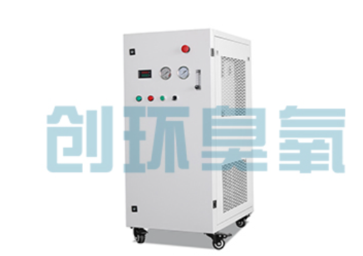 哈尔滨石斑鱼养殖水质调控完整指南：臭氧发生器配置与操作步骤