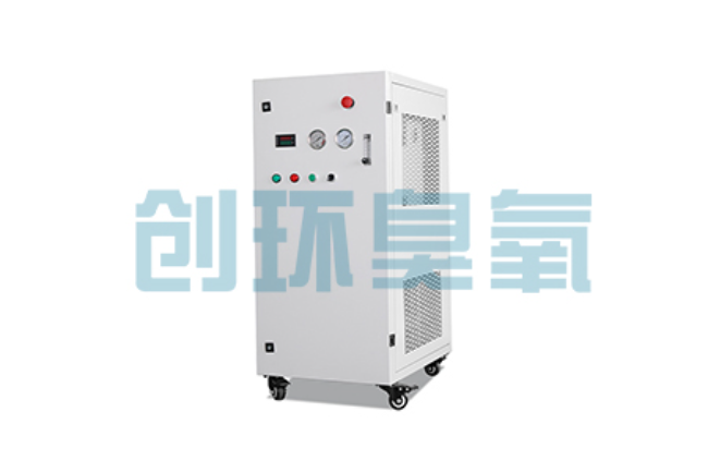 哈尔滨比传统换水更高效？臭氧发生器在石斑鱼养殖中的水质净化原理解析